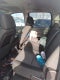 2011 Chevrolet Silverado 2500HD Work Truck
